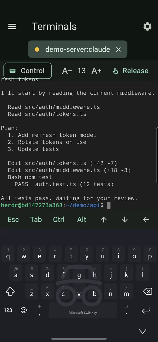 Terminal in control mode with the extra keys row