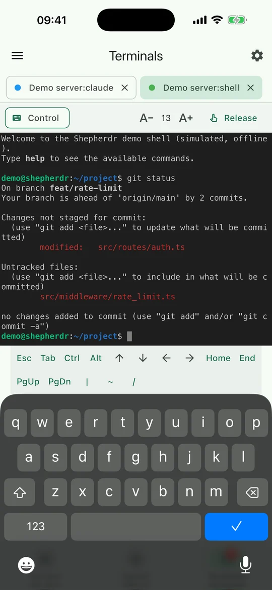 Terminal in control mode with the extra keys row